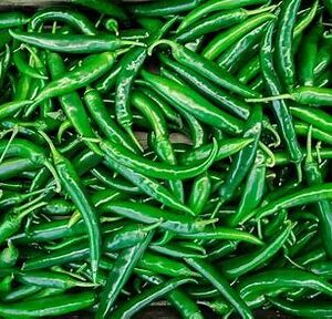 Indian Chillies