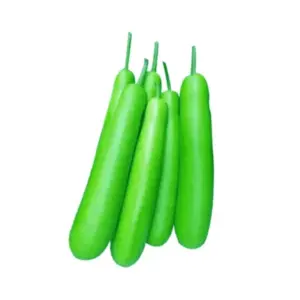 dudhi
