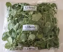 Baby Spinach