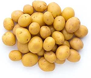 baby potatos