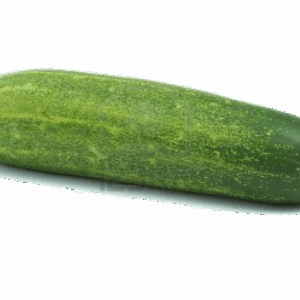 Cucumber