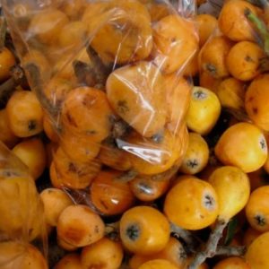 NISPEROS