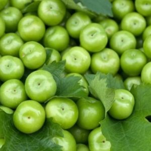 sour plum